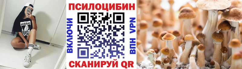 Псилоцибиновые грибы Cubensis  Дмитровск 