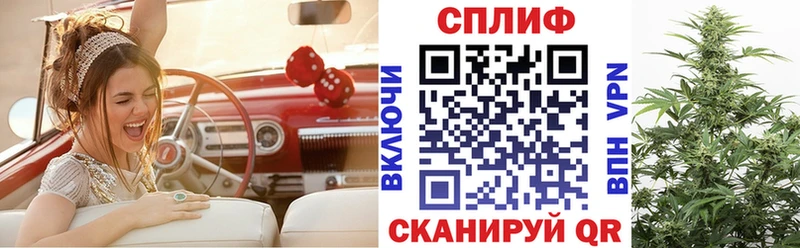 наркота  Дмитровск  Конопля Ganja 